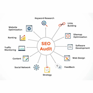 SEO services in Agra